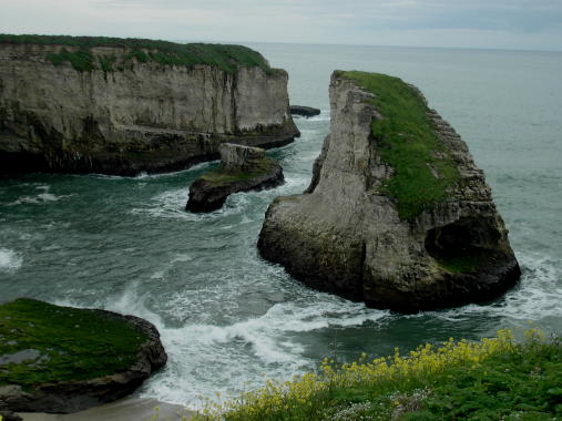 Spring 2005